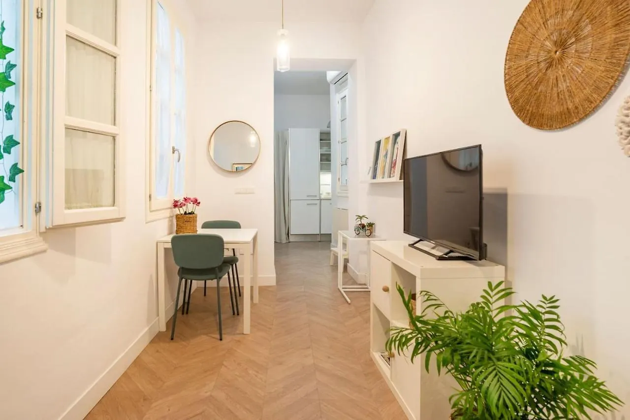 Rinconcito Dona Ines Apartment Malaga 0*,